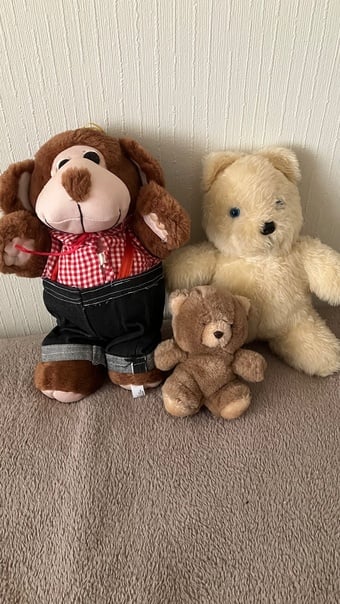 3x  teddy collection 