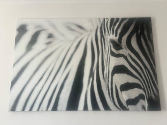 Zebra Canvas Print 120x80cm