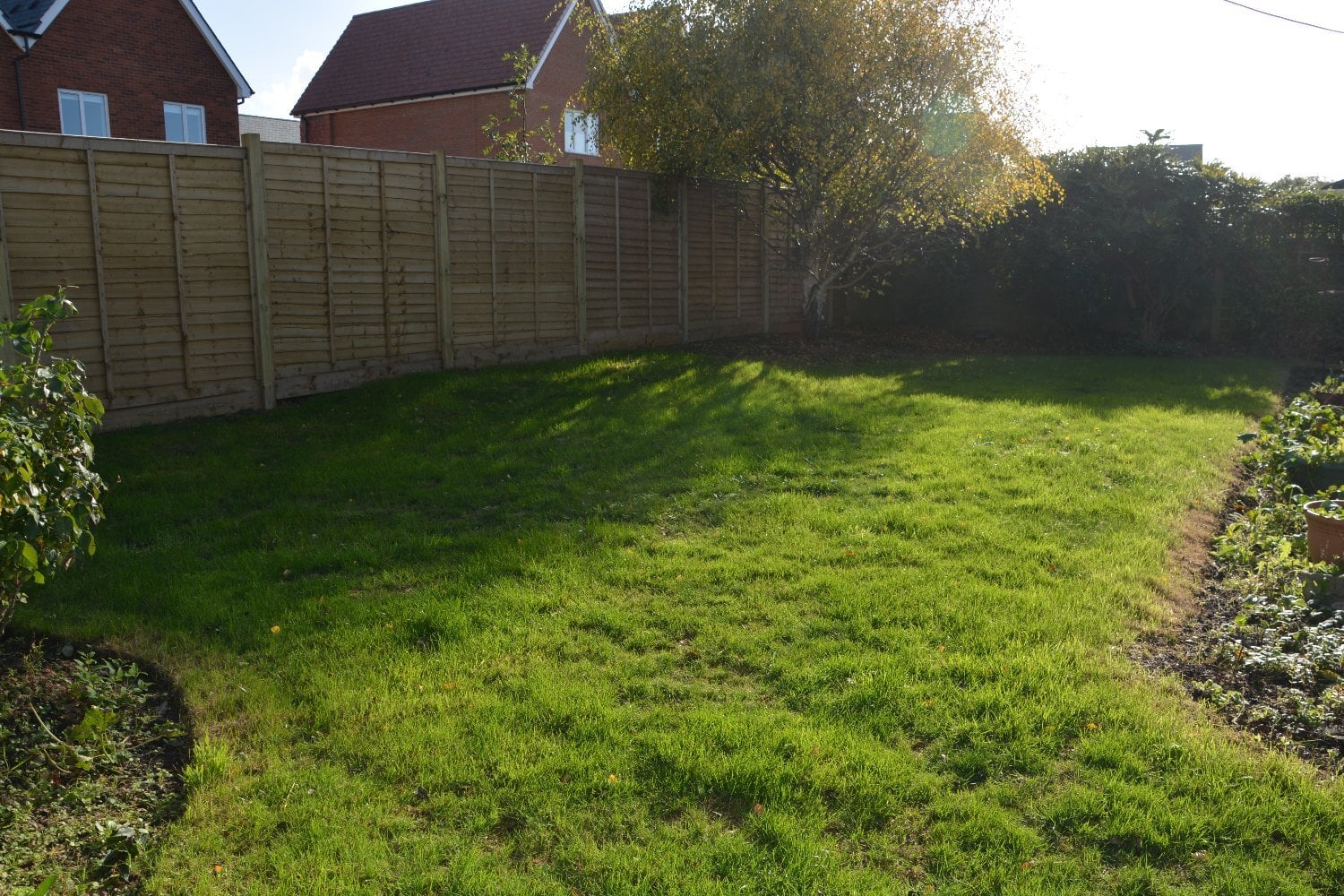 Detached Bungalow with Garage - No Chain - Houses & Bungalows