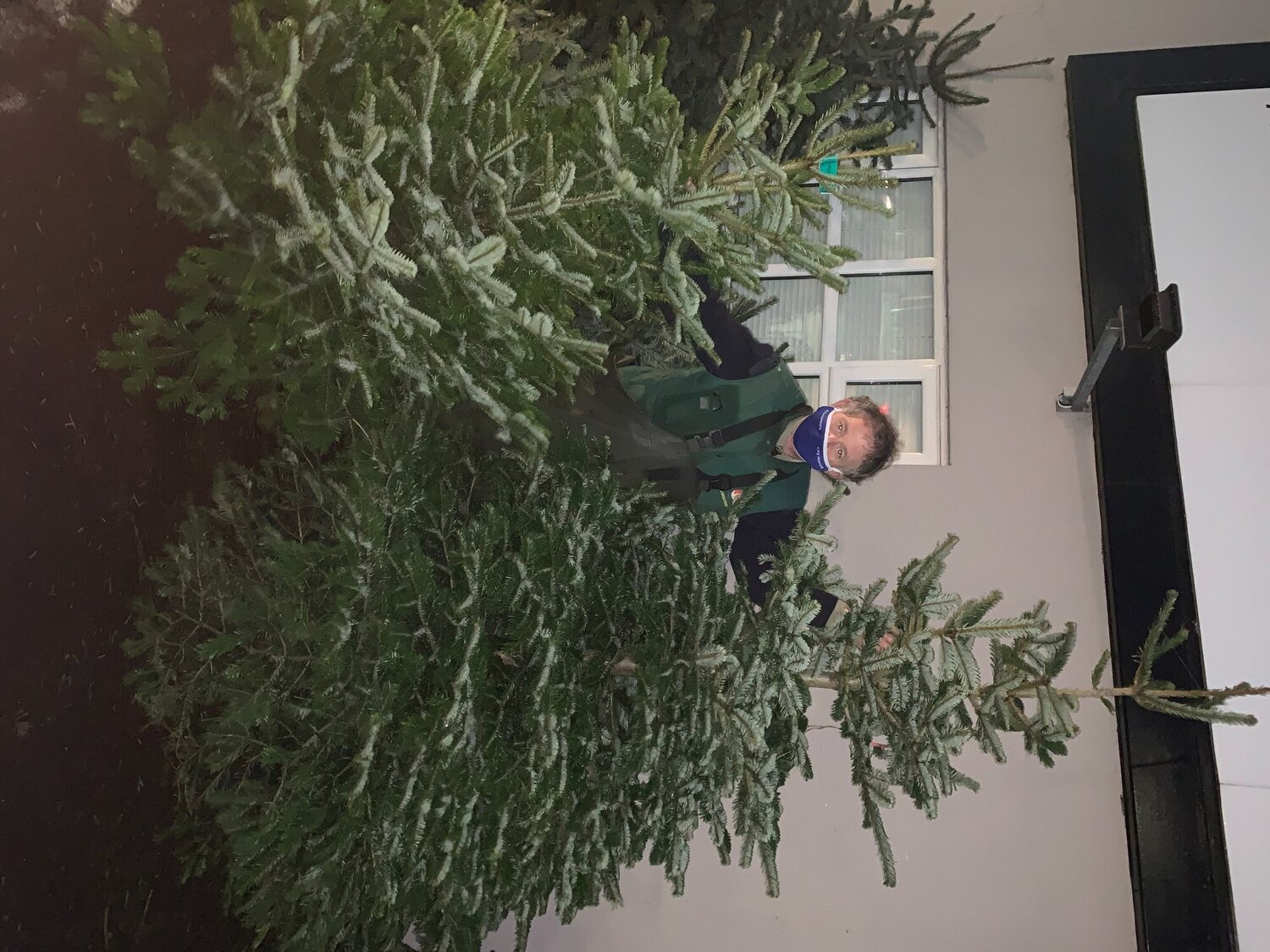 Real Christmas Trees for Sale - Garden