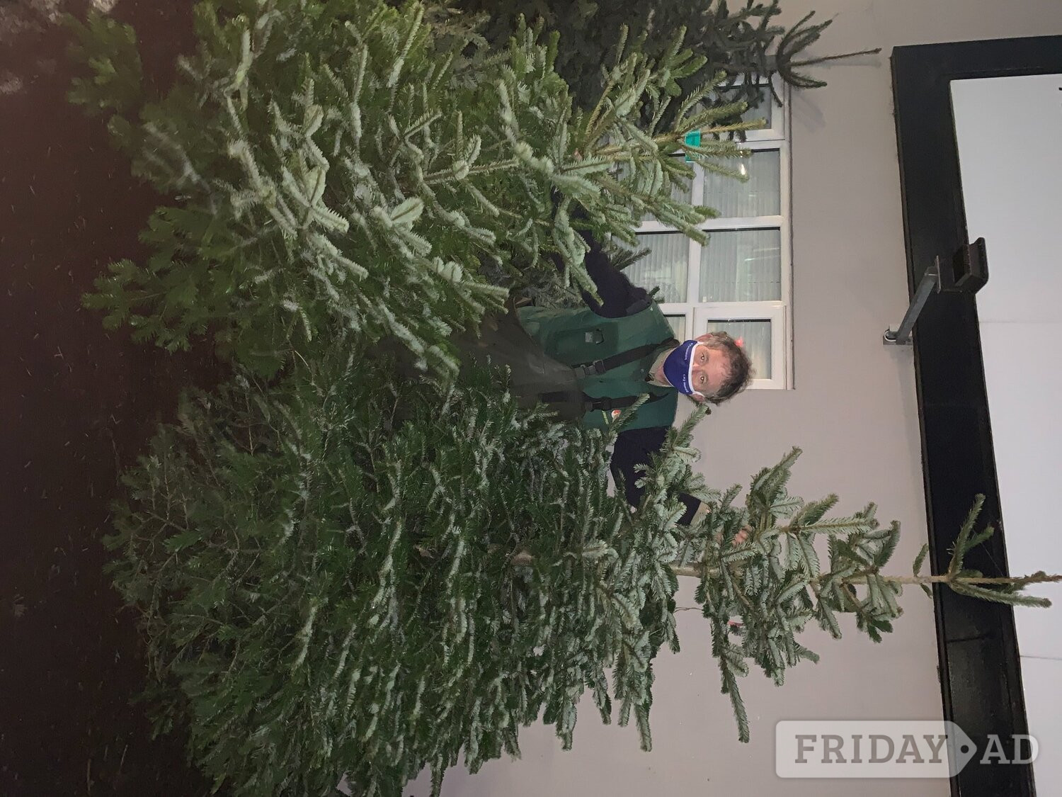 Real Christmas Trees for Sale - Garden