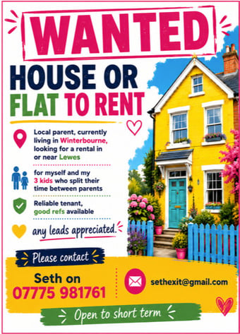 WANTED, HOUSE OR FLAT TO RENT£