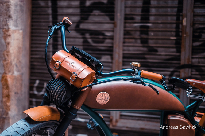Rayvolt Cruzer bike