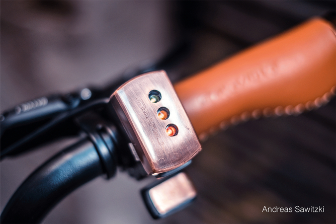Rayvolt Cruzer bike - Bicycles