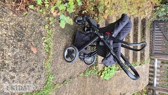 Oyster buggy with removable seat