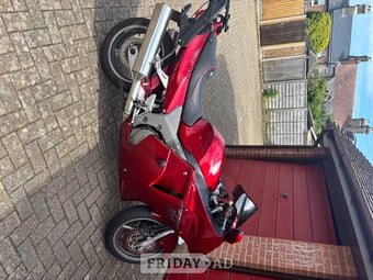 Honda blackbird for sale 