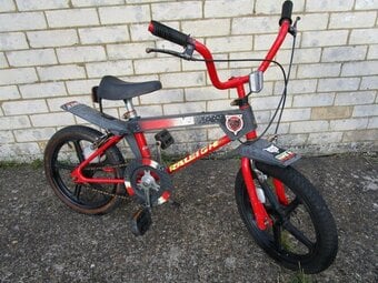 Raleigh Street Wolf Boys Bike