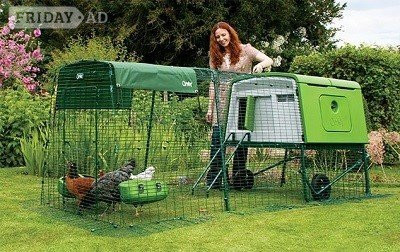 Leatherhead Plastic chicken houses - Omlet