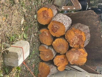 Logs for free