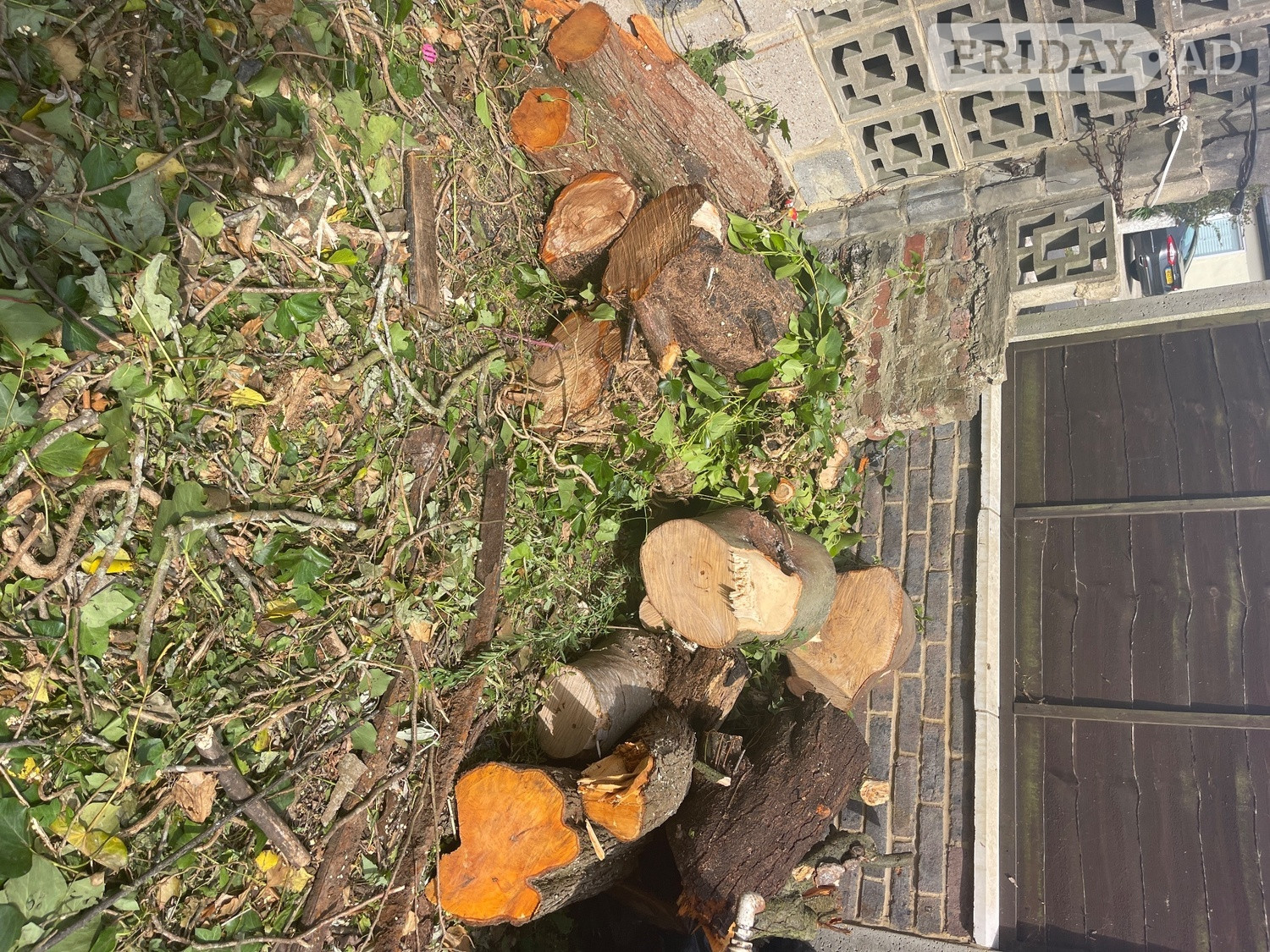 Logs for free