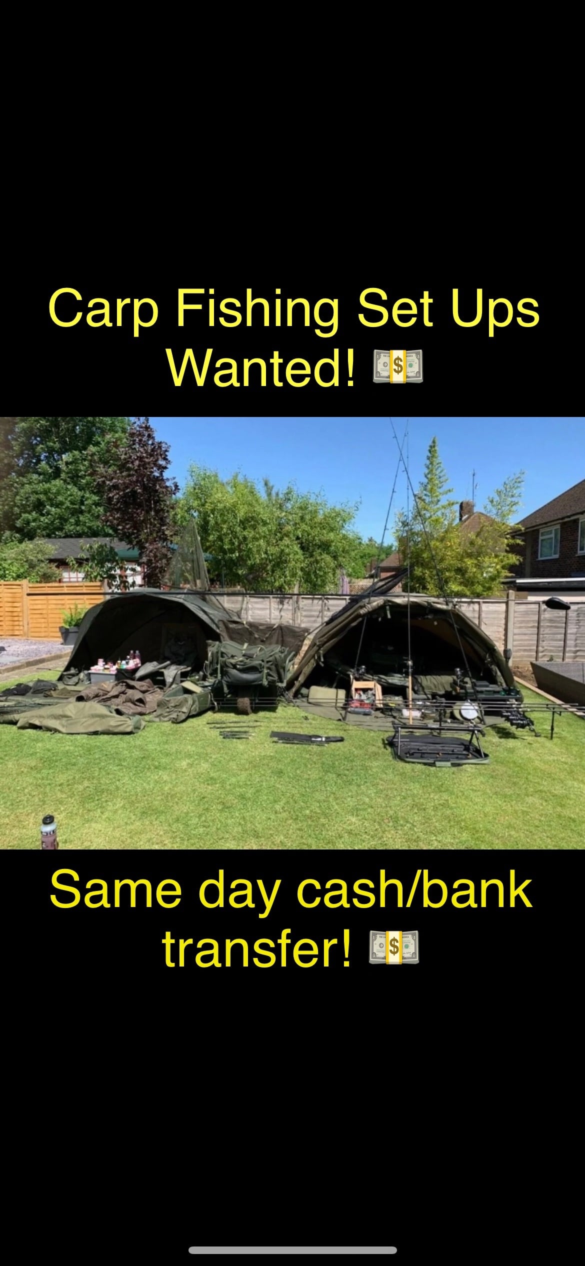 💥Carp Fishing Set Ups Wanted!🎣💷💷
