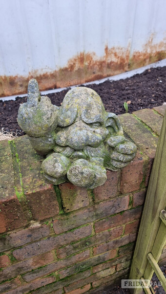 A stoney faced guy with 'tude