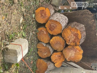 Logs for free