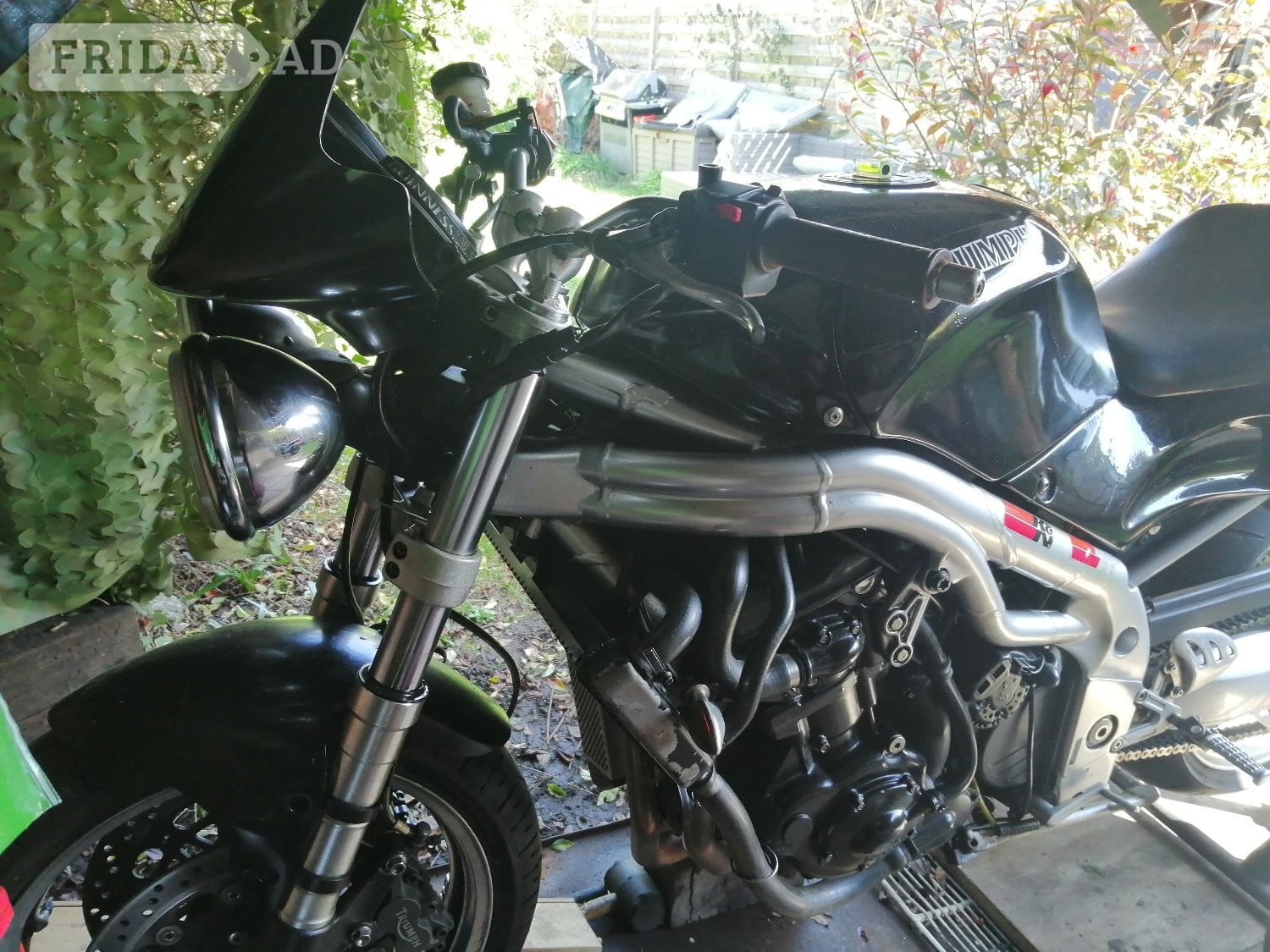 Triumph T 509 Speed Triple Esher