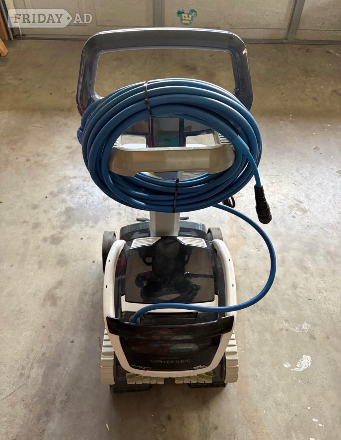 Ascot Dolphin Explorer E70