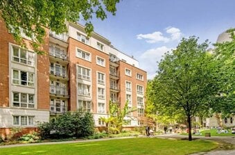 1 bed flat to rent 