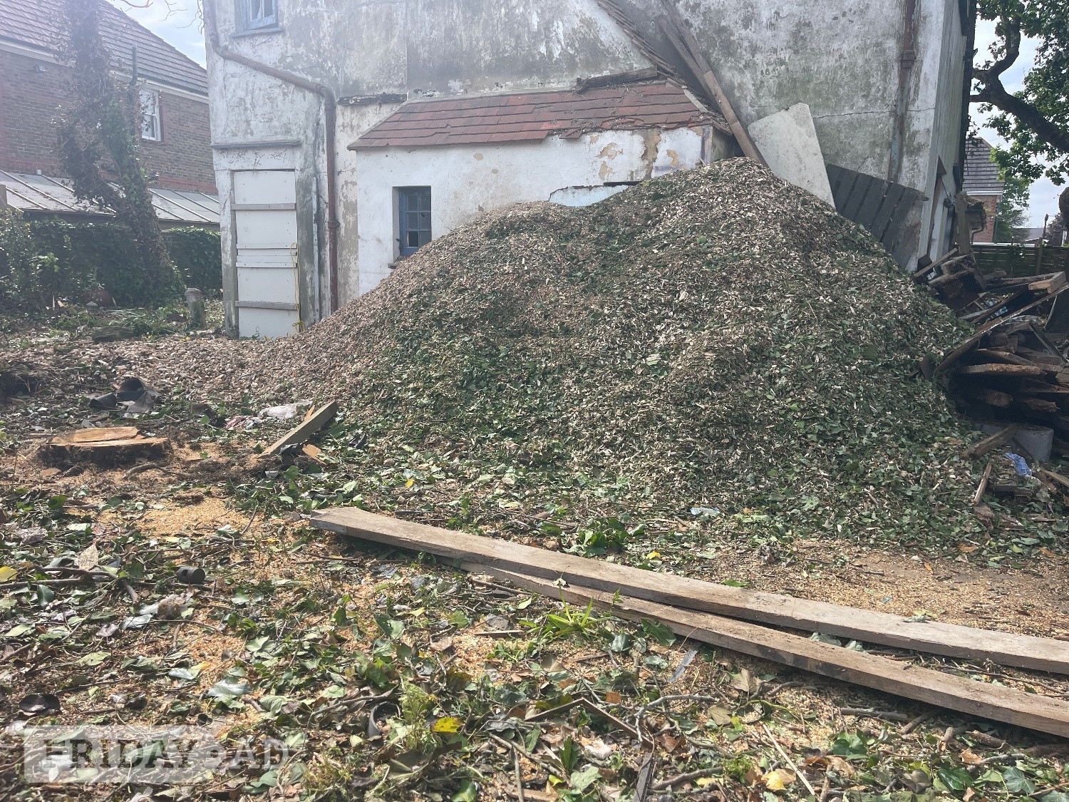 Wood Chips for free