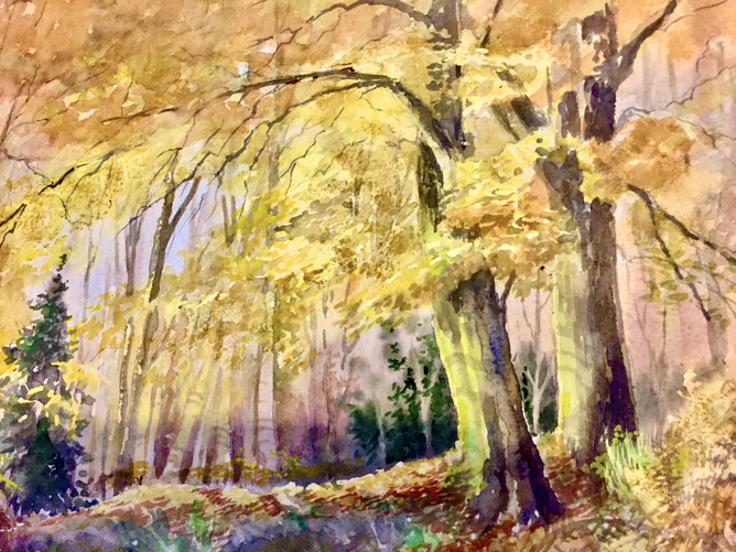 Water Colour By Julie Mordan