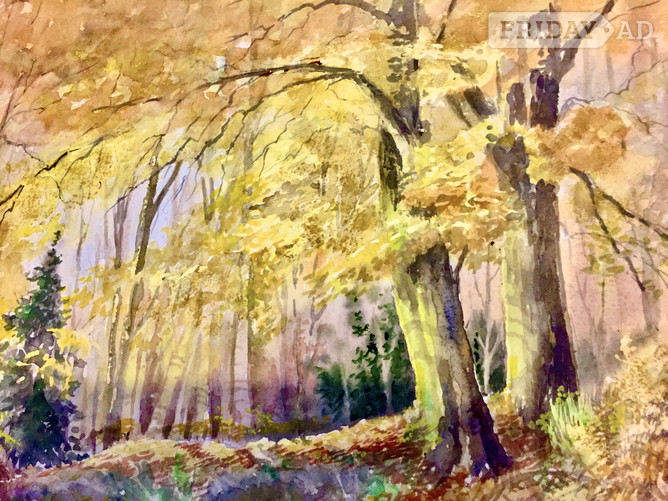 Water Colour By Julie Mordan