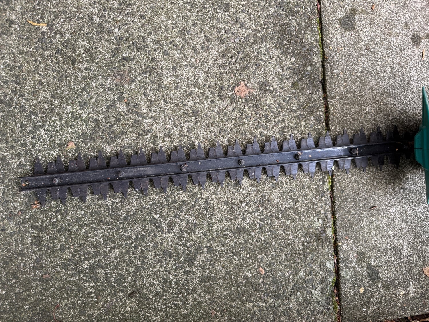 Bosch electric hedge trimmer AHS 50-16