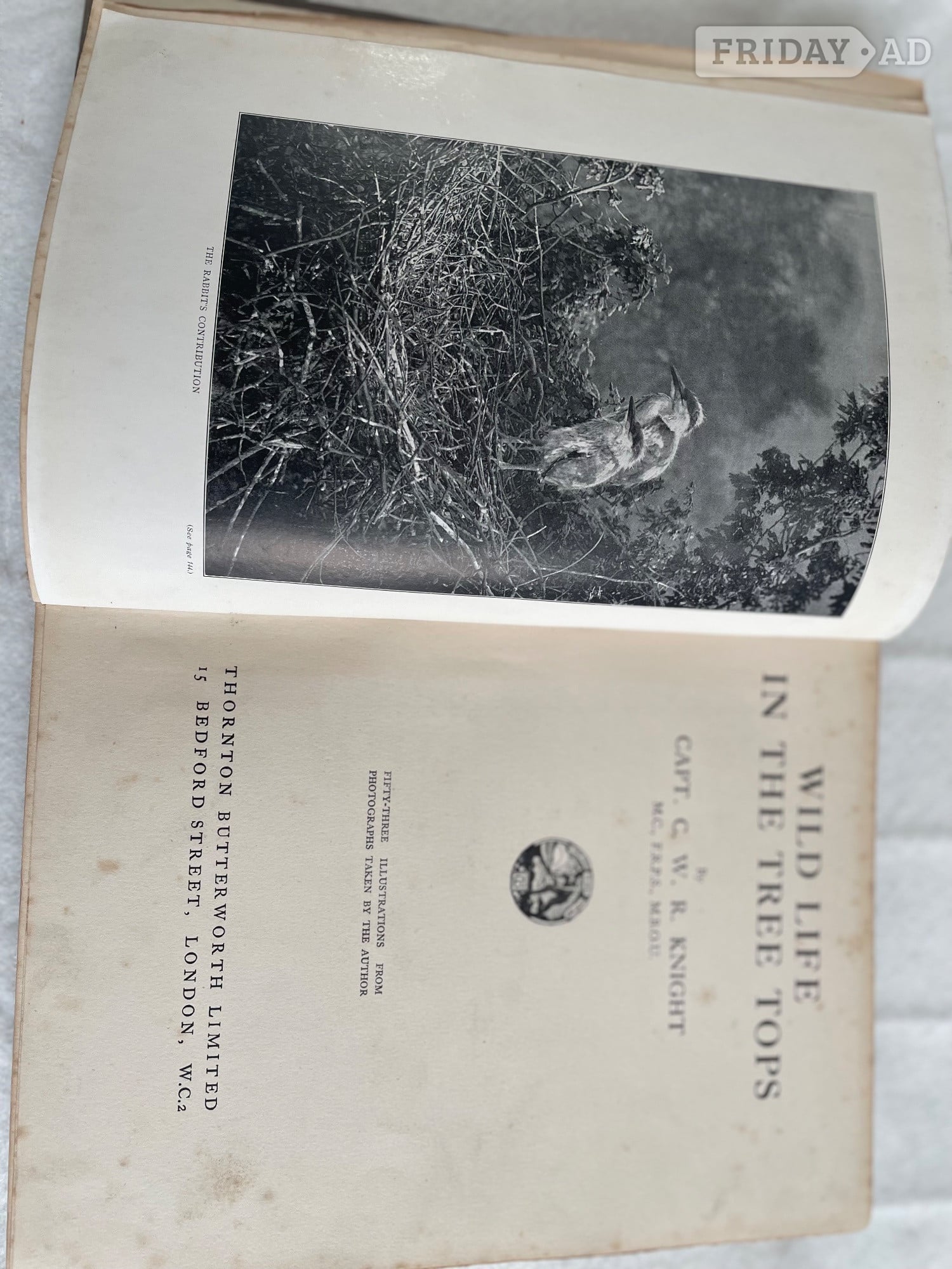 First Edition Wild Life in the Treetops