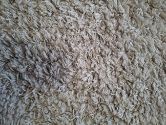 Natural Rug from Dunelms