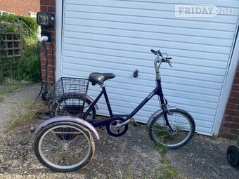 Pashley Tricycle Adult