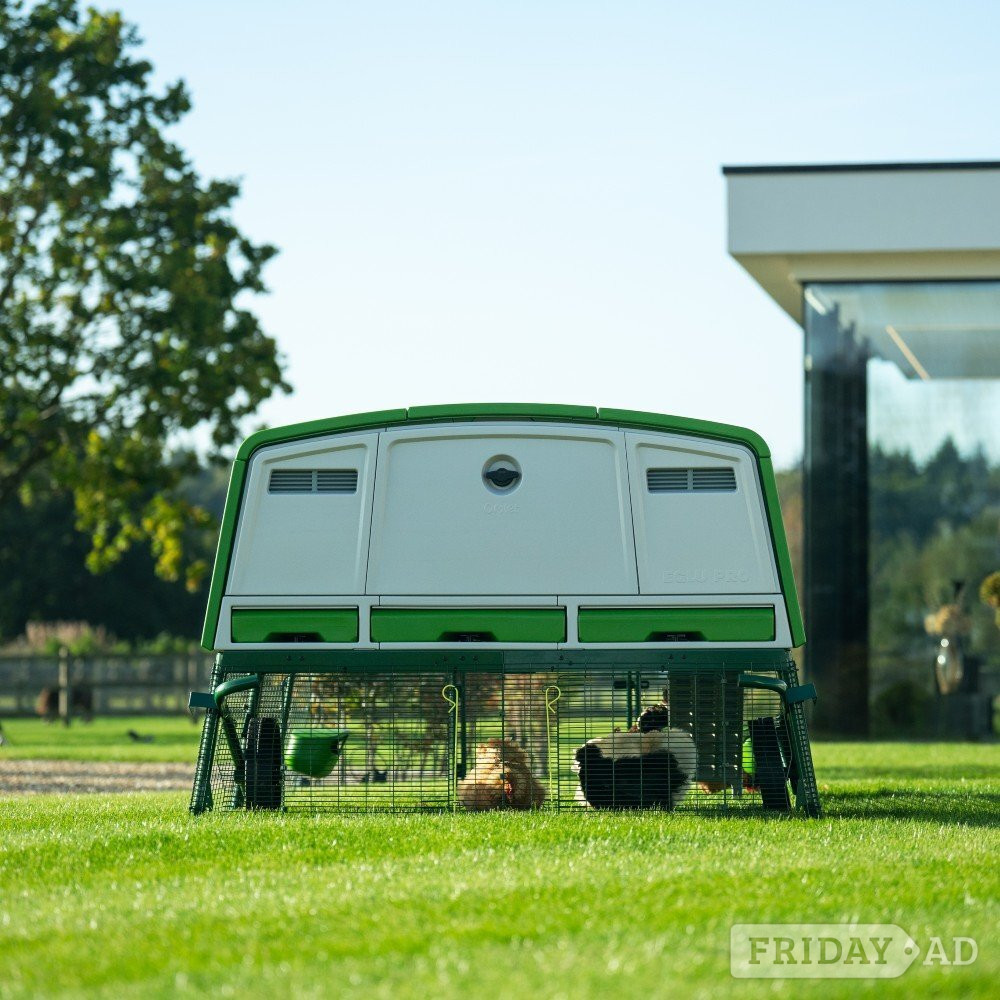 Leatherhead Omlet Eglu Cube and the new Omlet Pro