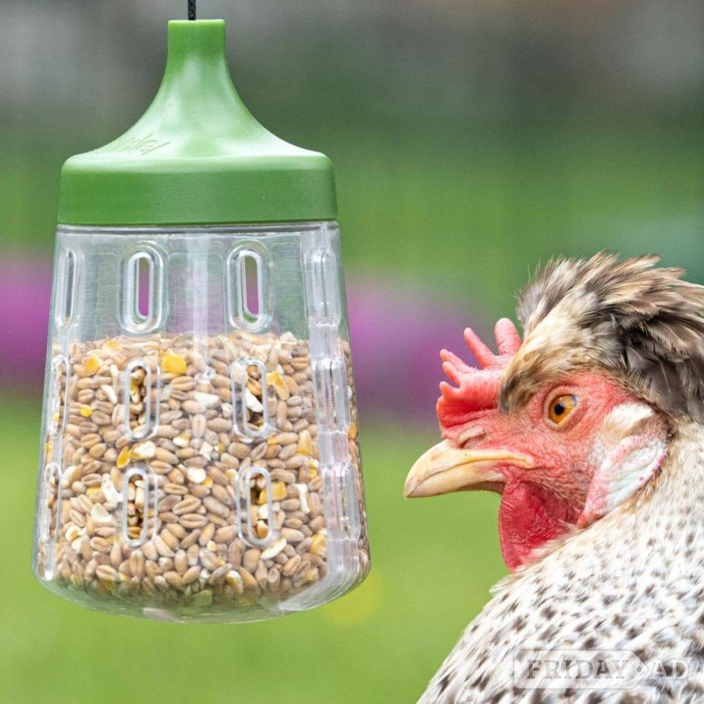 Omlet Eglu Cube and the new Omlet Pro - Pet Accessories & Supplies