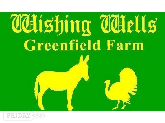 WISHING WELLS POULTRY FARM STORE! in Haywards Heath