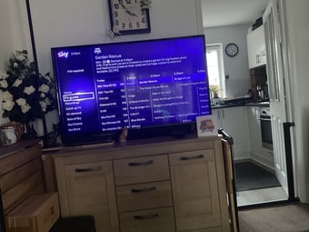 LG 55 INCH TV
