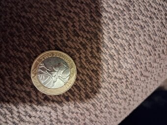 £2 coin £150 ono