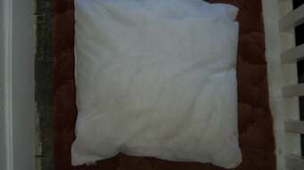 Cushion Inserts white