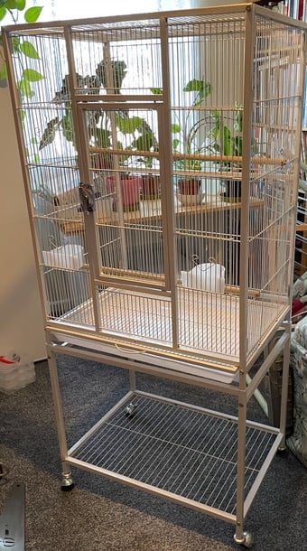 Bird Cage  FREE