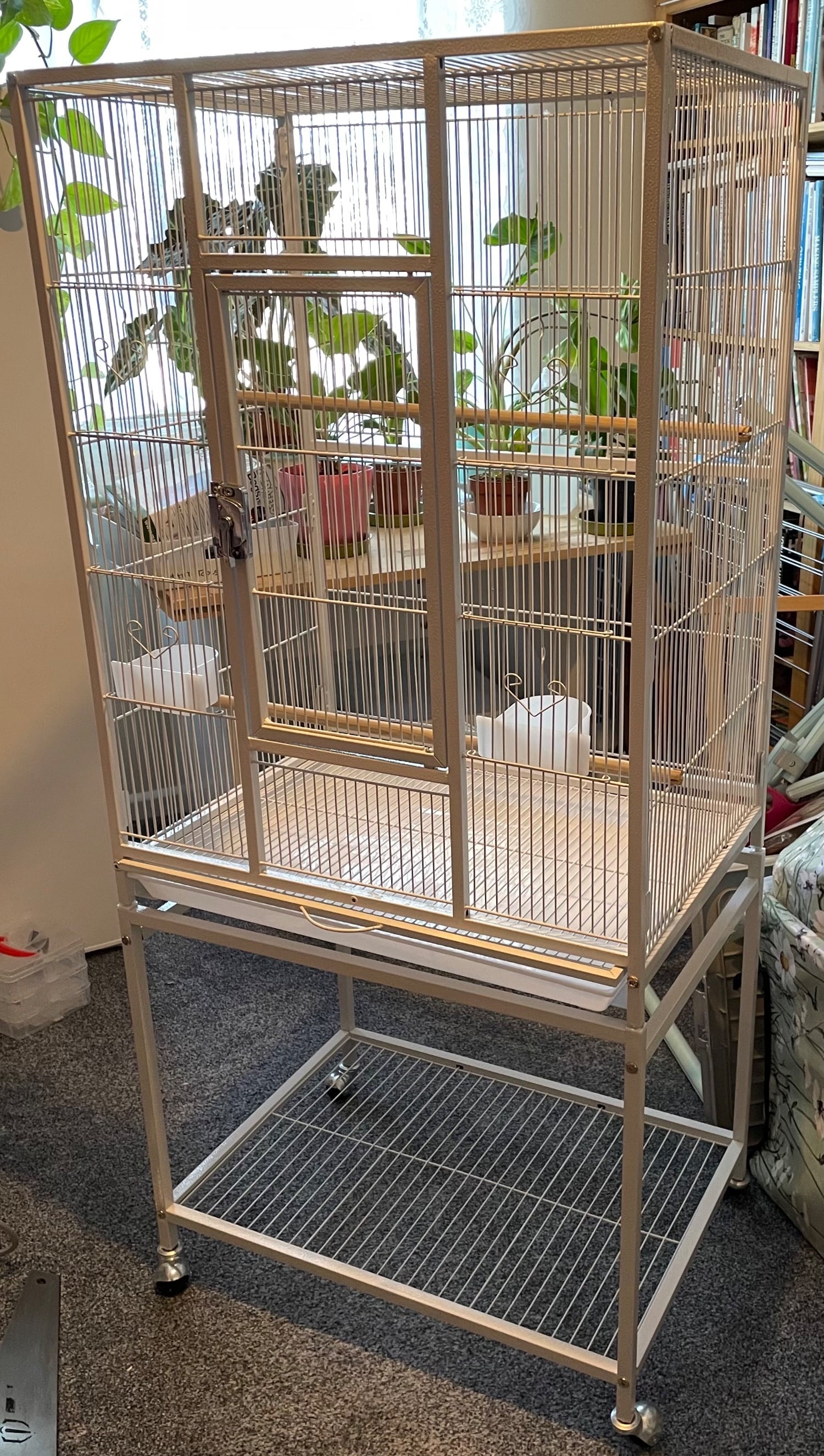 Bird Cage  FREE