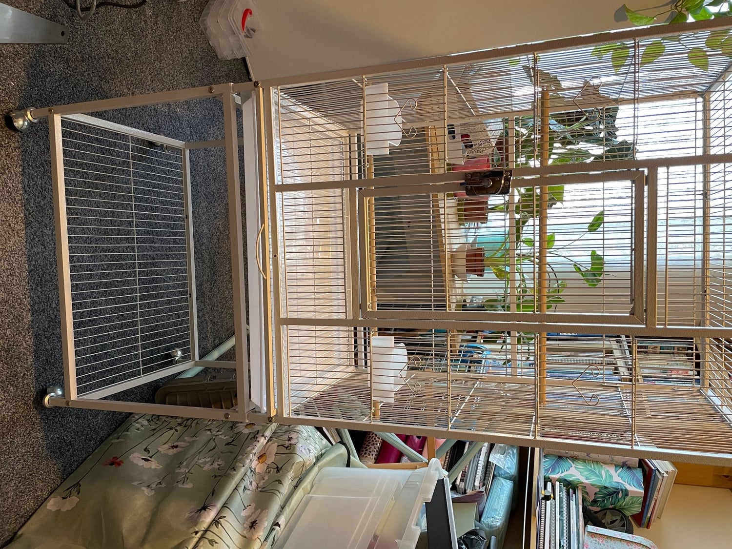 Newhaven Bird Cage  FREE