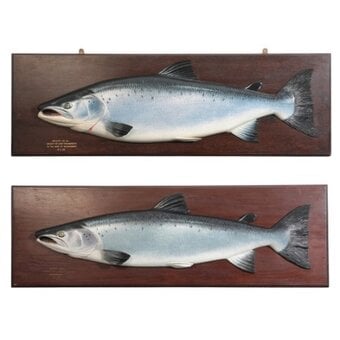 CARVED FISH WANTED antique wooden fish WANTED cased or carved fish COOPER SALMON TROUT PERCH PIKE HARDY FOCHABER ROWLAND WARD