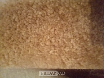 Carpet brand new 8.6 ft X 13.1 ft, lay with/out underlay