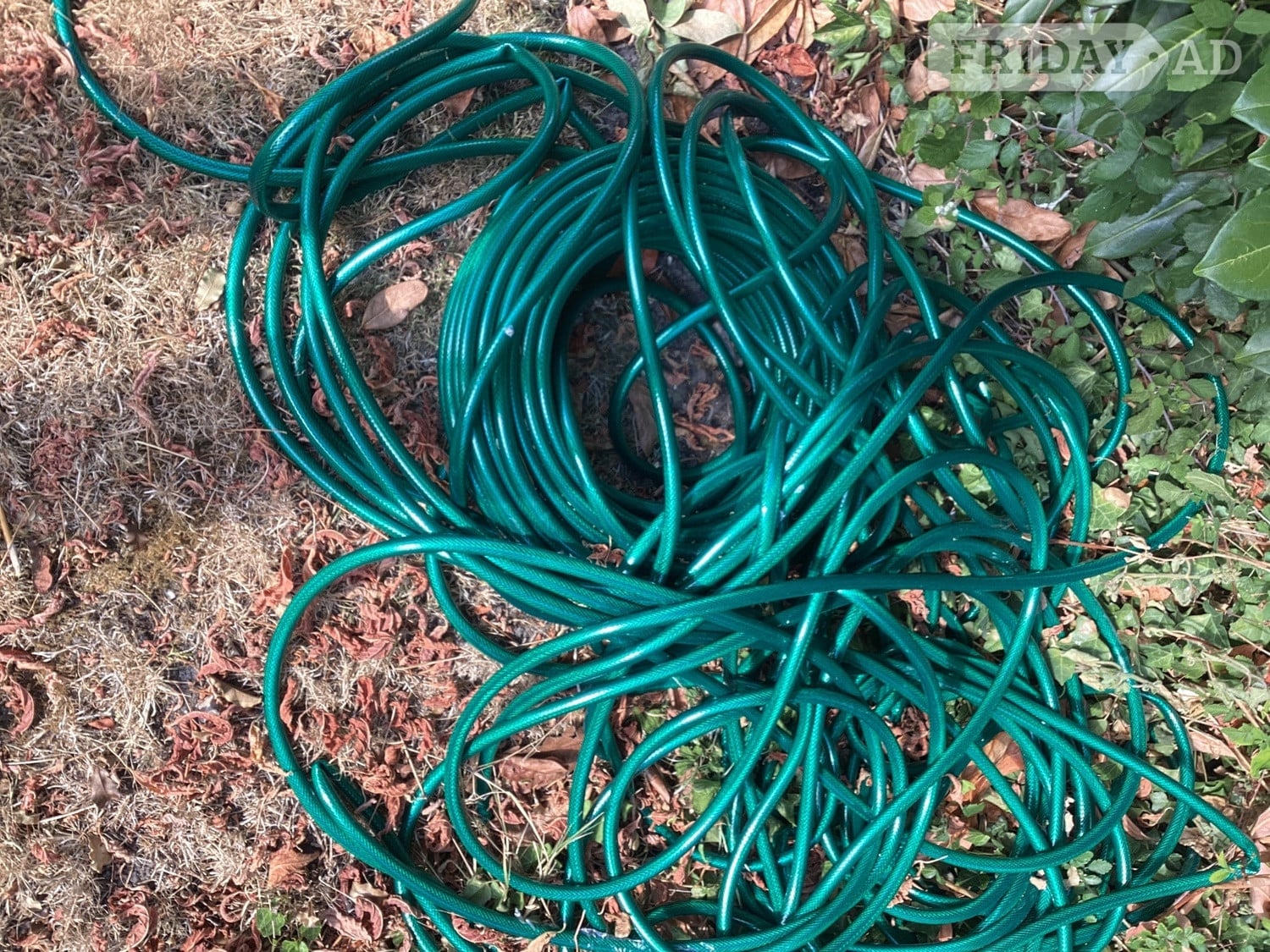 50m Barden Hose