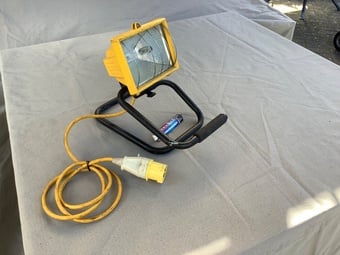 110v site light