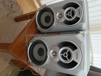 Sony Wired Speakers 