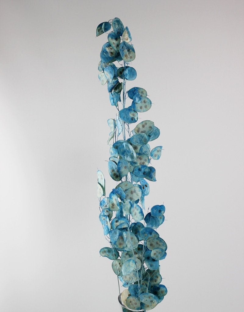Shop Premium Dried Flowers and Décor Online — Trusted by 20,000+ 