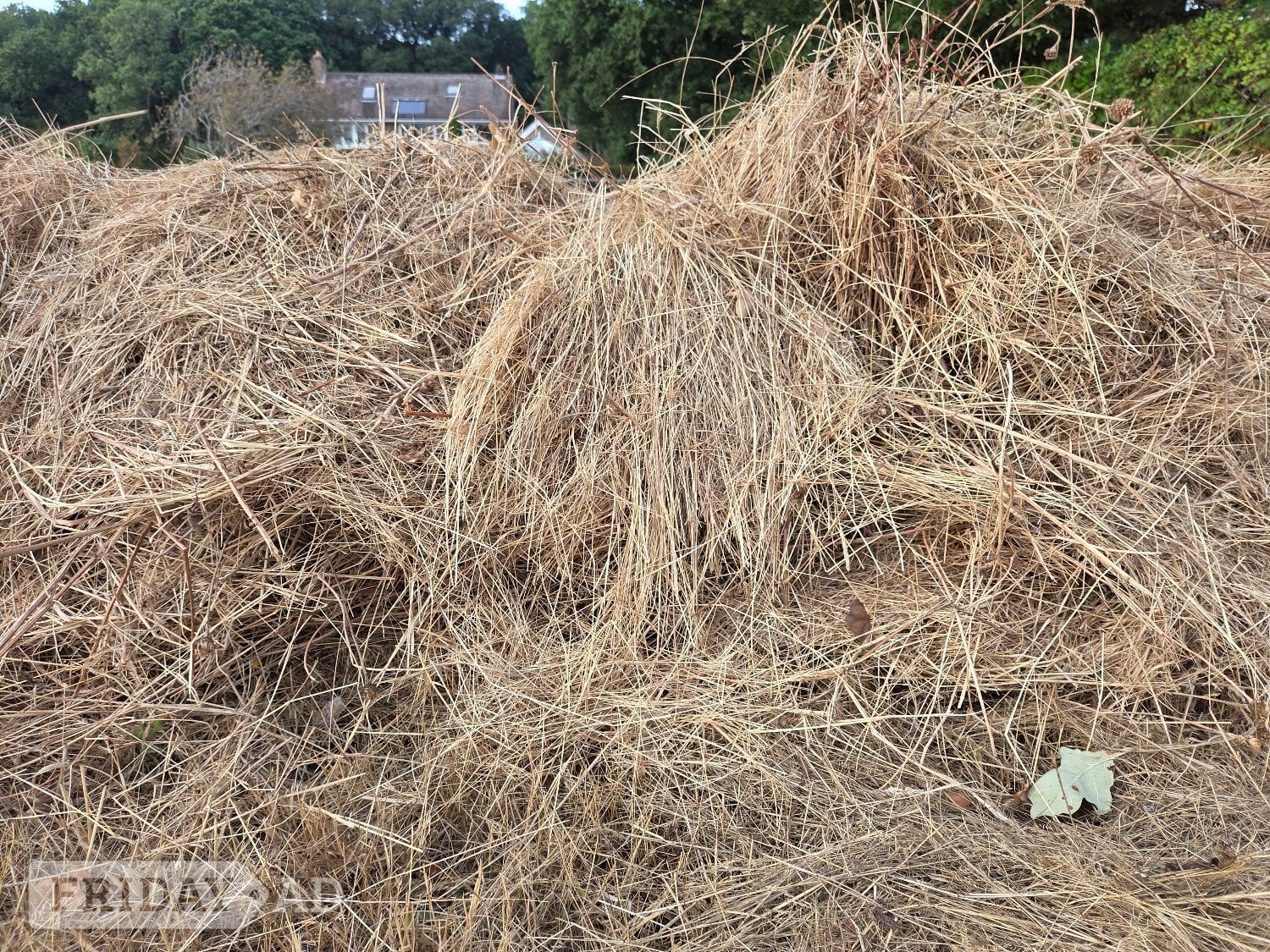 Free Hay not a lot but help yourself. in Chichester
