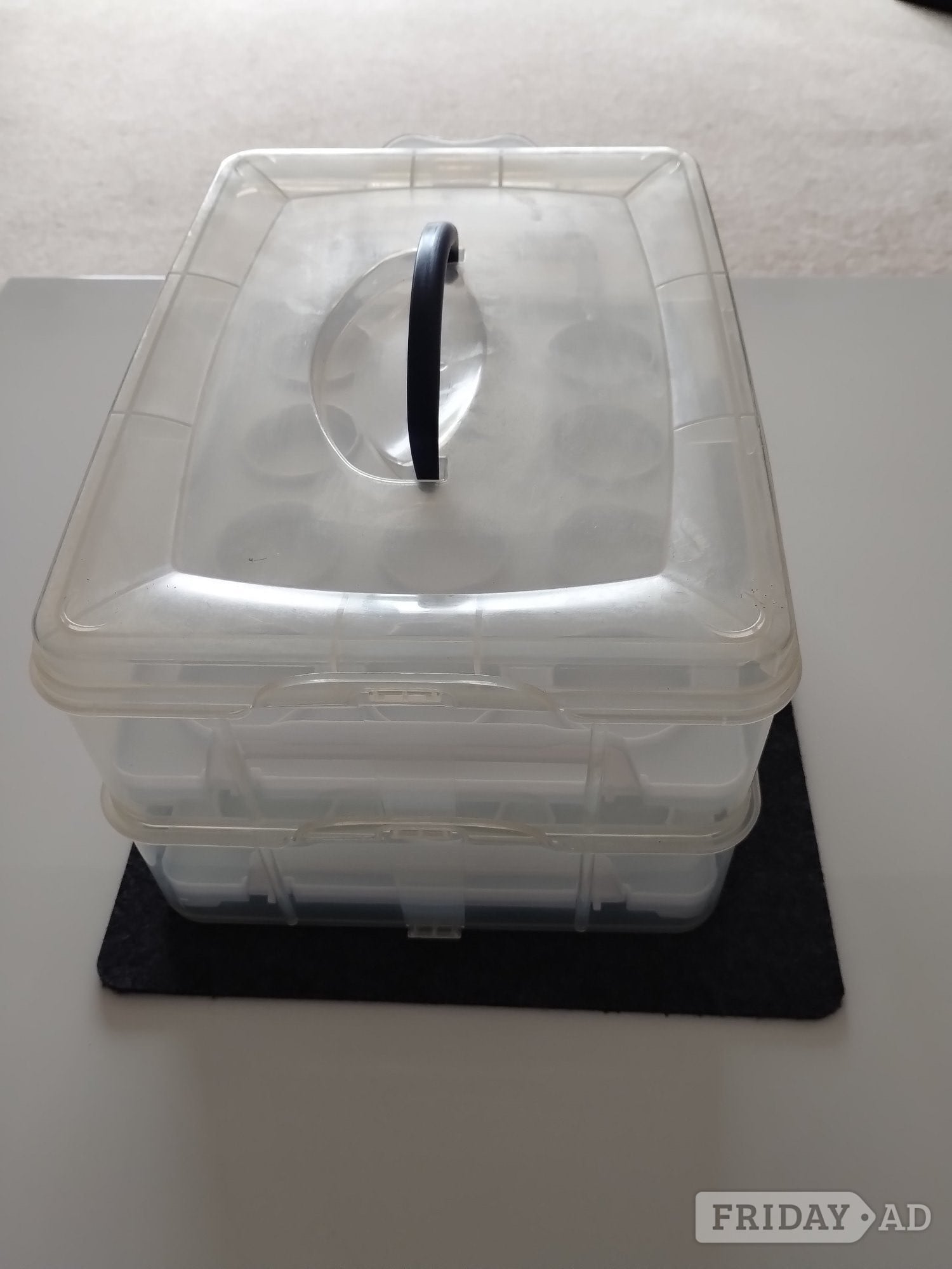 Cup Cake Caddy in Hereford