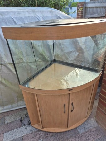 Juwel 190L corner Aquarium