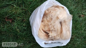 Raw unwashed Sheeps Wool