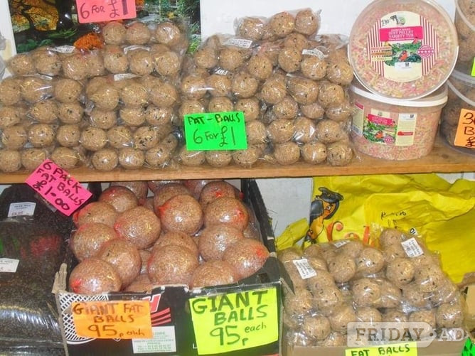 Sunflower Hearts 12.5kg for £19.90 Wild Bird Food N.I Belfast,