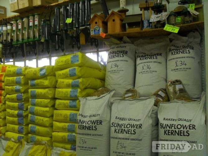 Sunflower Hearts 12.5kg for £19.90 Wild Bird Food N.I Belfast, - Pet Accessories & Supplies