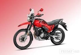 BSA GOLDSTAR 650 Chichester