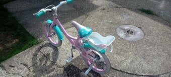 Child's bike with doll seat. 